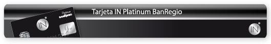 in platinum in platinum
